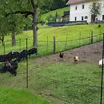 Berghof Reiter 게스트하우스