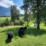 ゲストハウス Berghof Reiter 3*