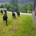 게스트하우스 Berghof Reiter 바이스브리아흐