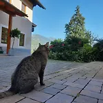 ゲストハウス Berghof Reiter