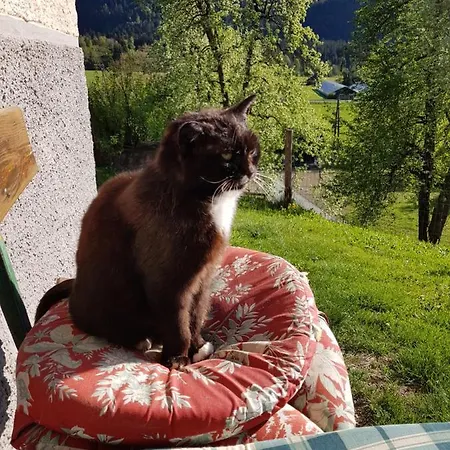 Berghof Reiter Konukevi 3*