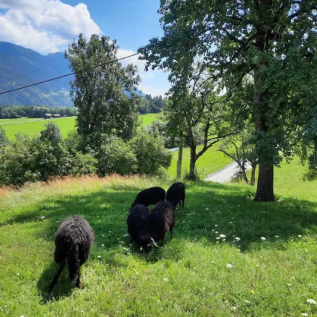 Konukevi Berghof Reiter 3*