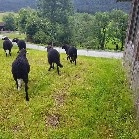 Konukevi Berghof Reiter Weissbriach