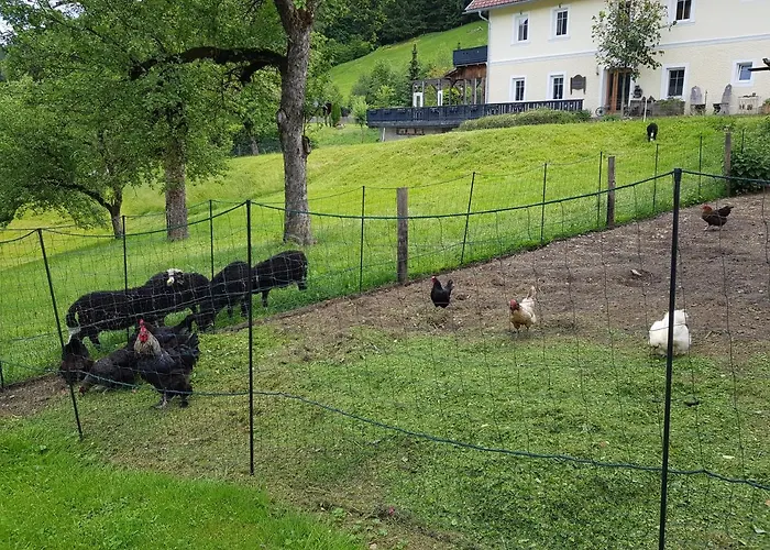 Berghof Reiter בית הארחה