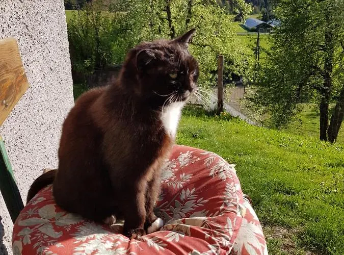 Berghof Reiter בית הארחה 3*