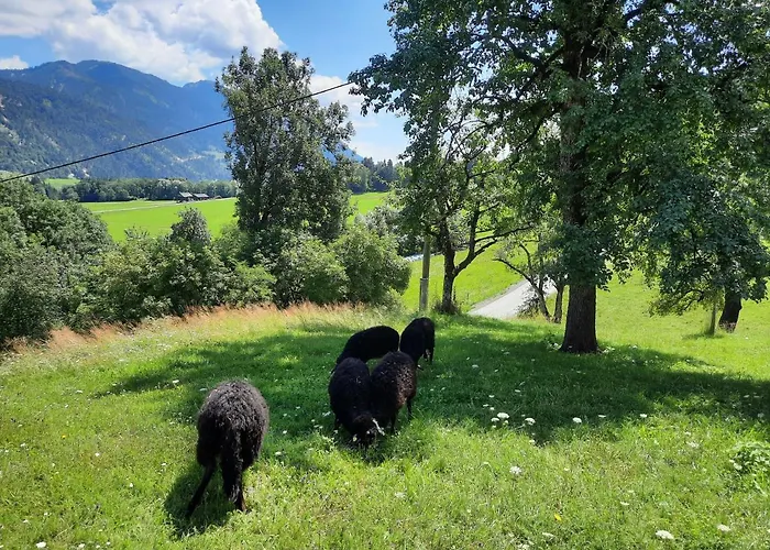 בית הארחה Berghof Reiter 3*