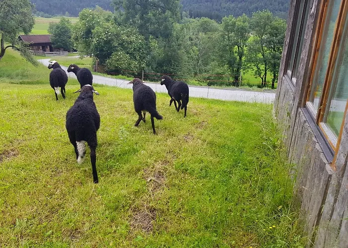 בית הארחה Berghof Reiter וויסבריאך