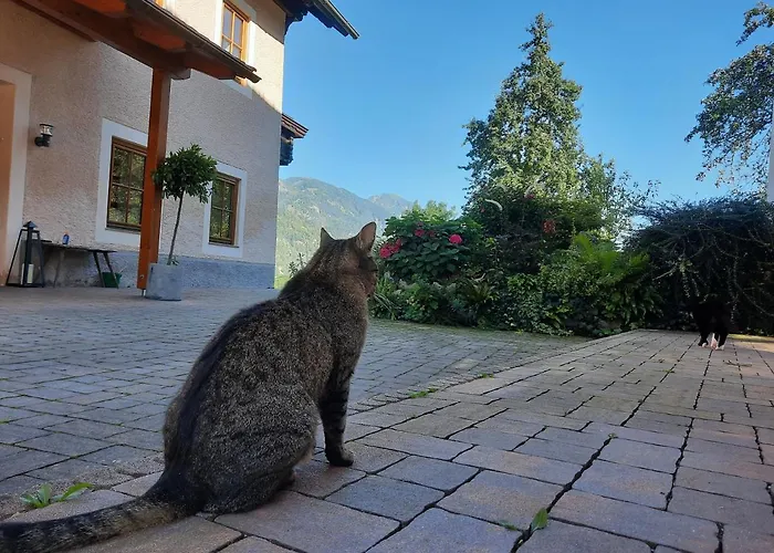 בית הארחה Berghof Reiter